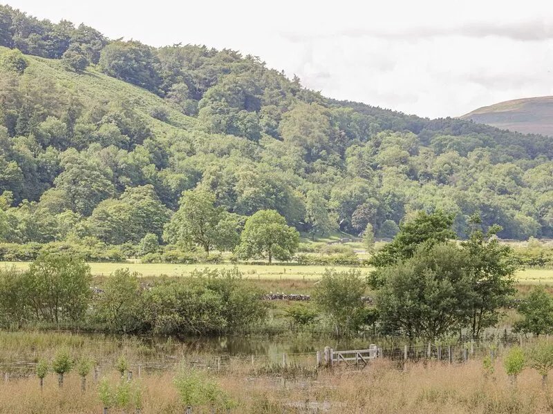 DALE HEAD COTTAGE, family friendly, with open fire in Buckden