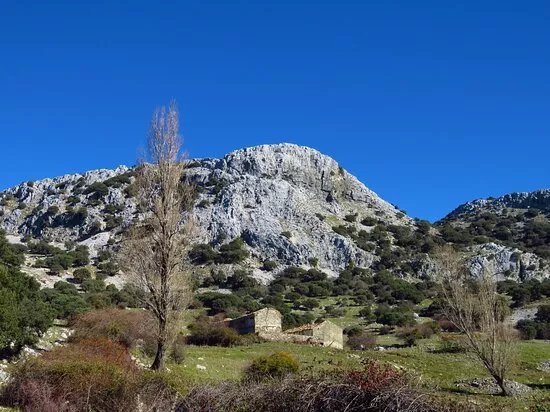 Sur La Piste Des Bouquetins