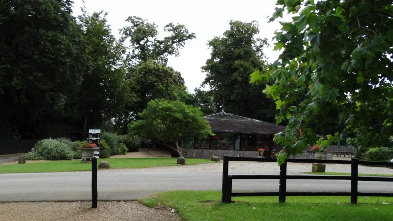 The Treehouse Cafe