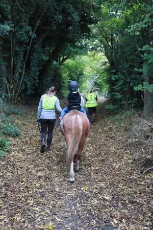 Wildwoods Riding Centre