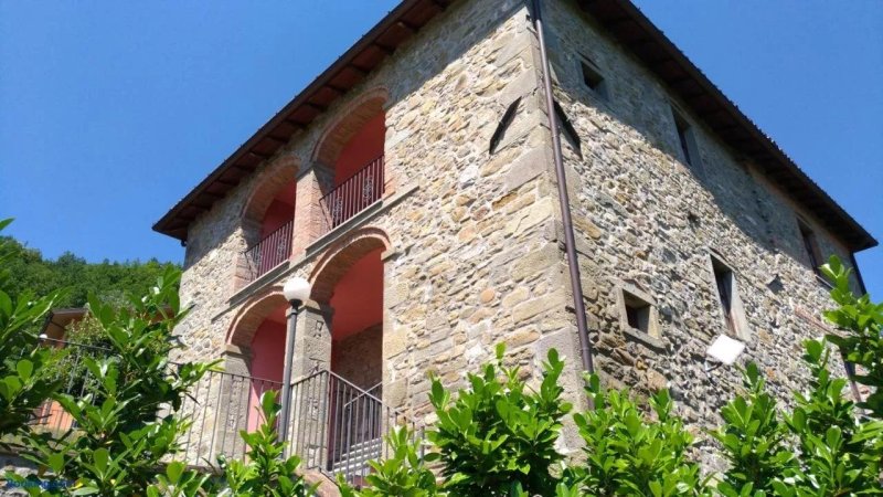 La Collina dei Franchi - pagina non aggiornata