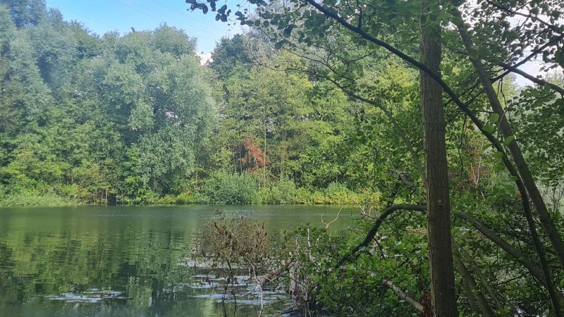 Silbersee