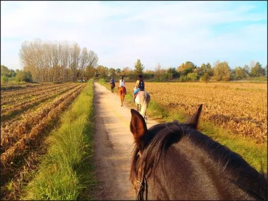 Hugo Crespo - Servicos Equestres