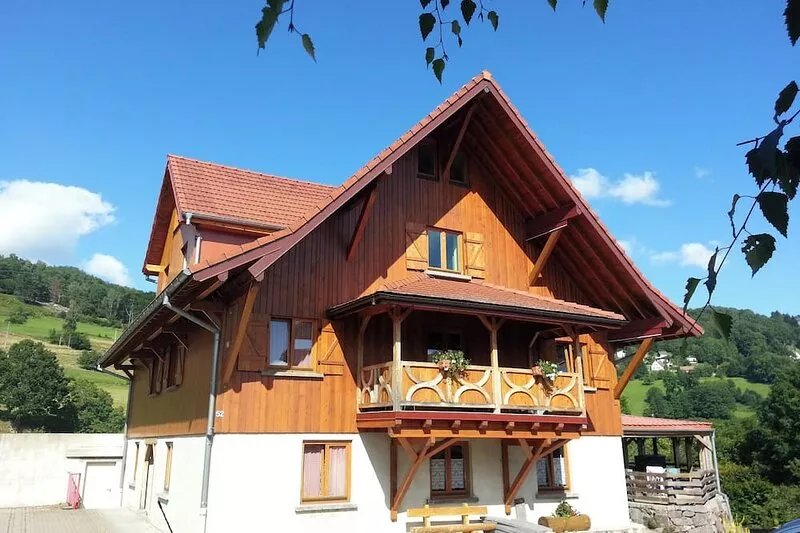 Homerez - Apt. Soultzeren, mountain view