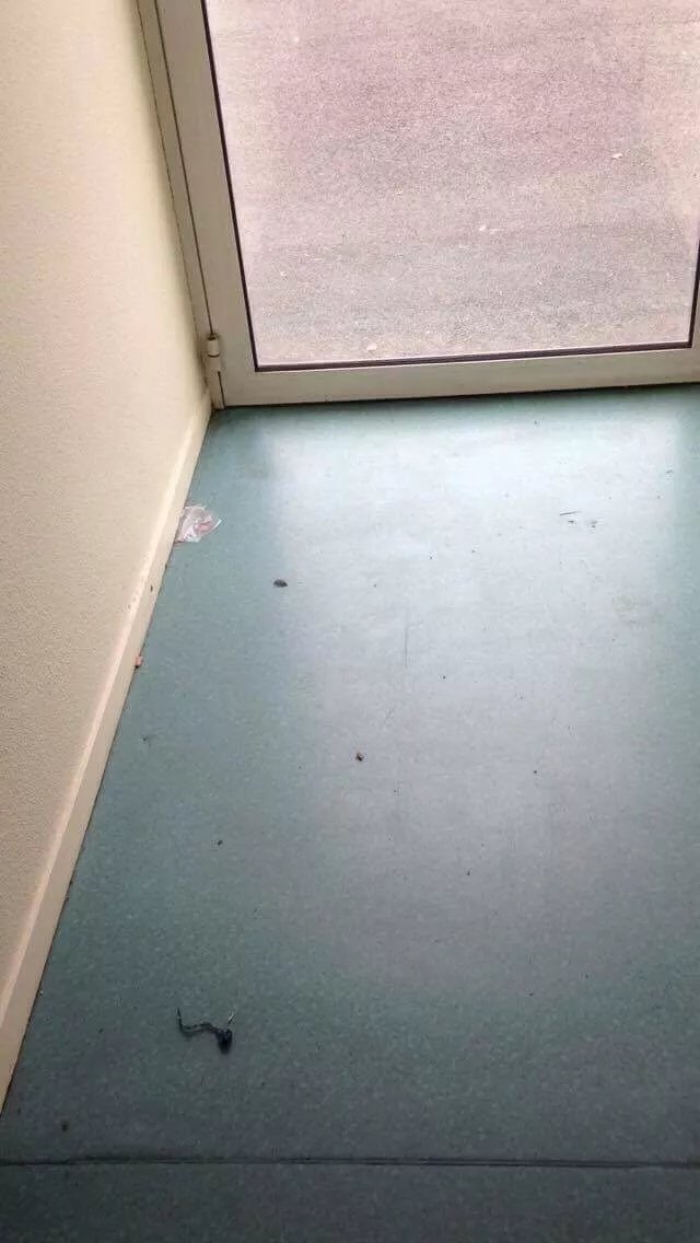 Residence Teneo Medoquine