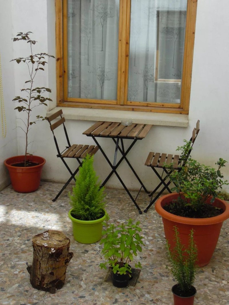 B&B Pension El Hayedo de Moncayo