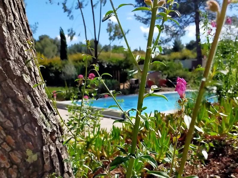 Studio d'hôtes les libellules, parking and swimming pool