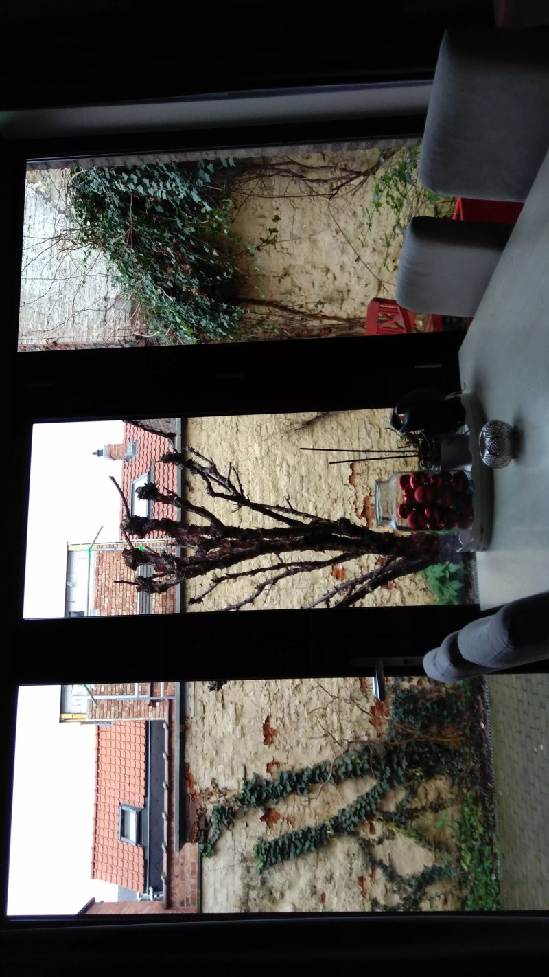 Leuven City Hostel