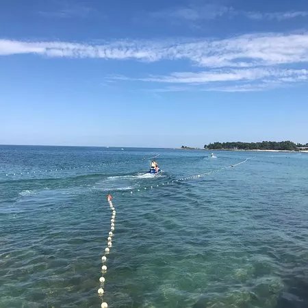 Your Summer Adventures
