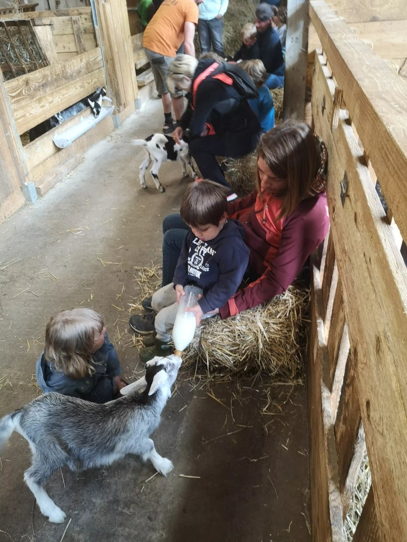 La Ferme des Pommeaux Blancs