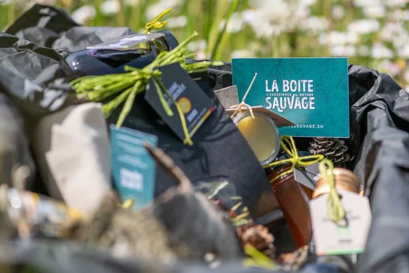 La Boite Sauvage