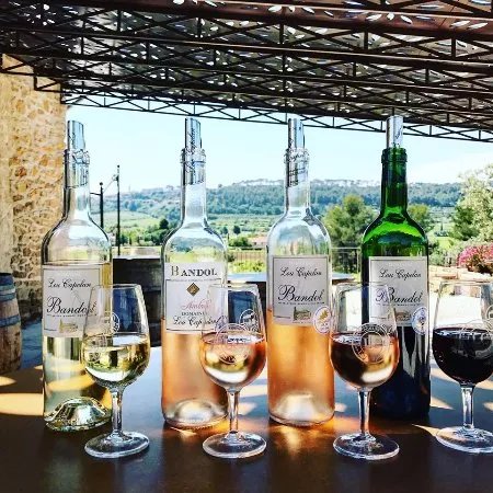 Domaine Lou Capelan