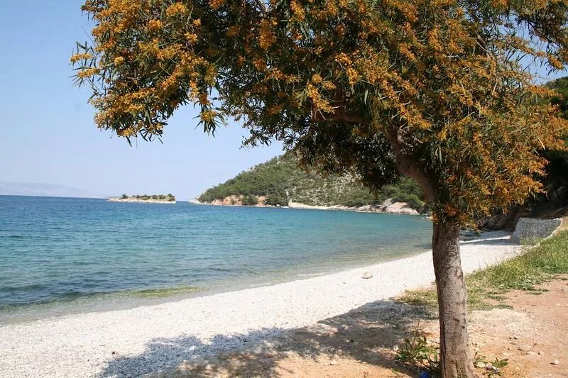 Peacefully situated holiday house close to the sea, garden, terrace | Korinthia,