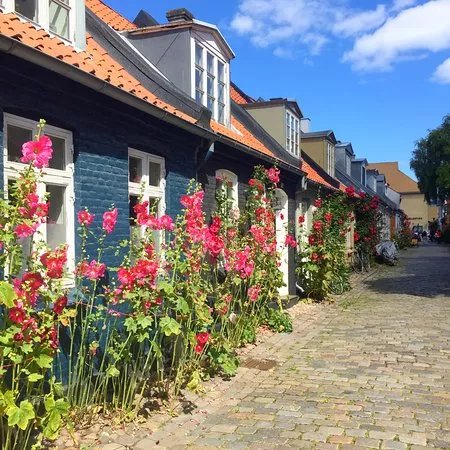 Aarhus City Guide