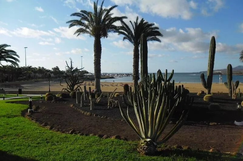 An oasis in the desert of civilization