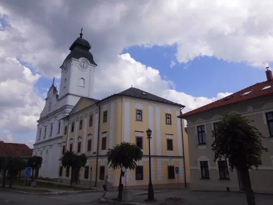 The new church and Minorite monastery in Levoca
