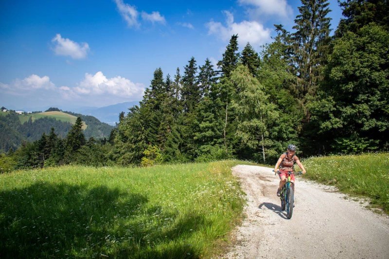 Bjelasica To Komovi : E-bike Tour