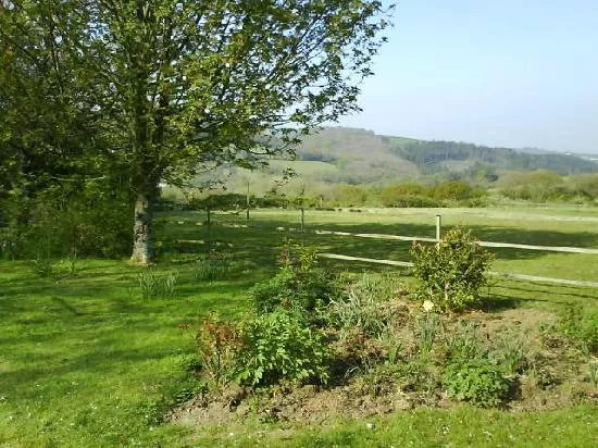 Treberthan B & B