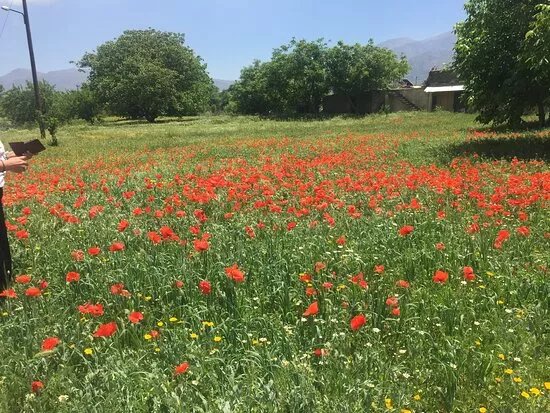 Explore Real Crete