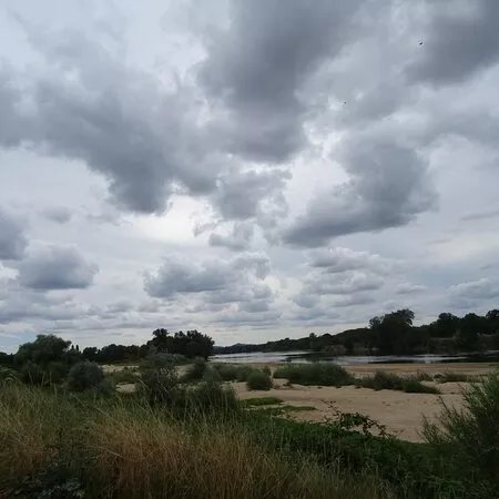 Balade Pedestre En Bord De Loire
