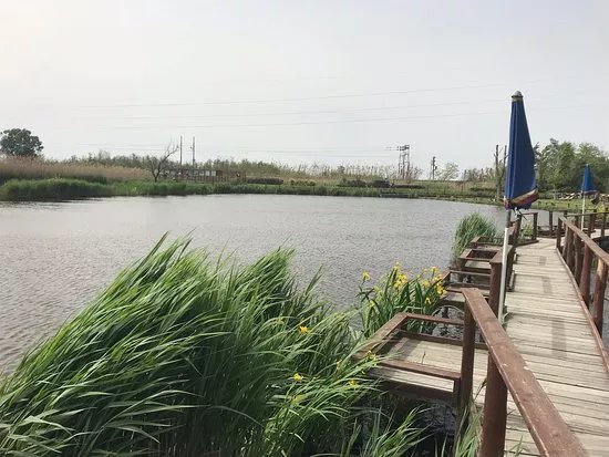 Eco Lago