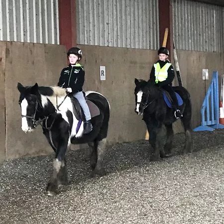 Millfield Riding School