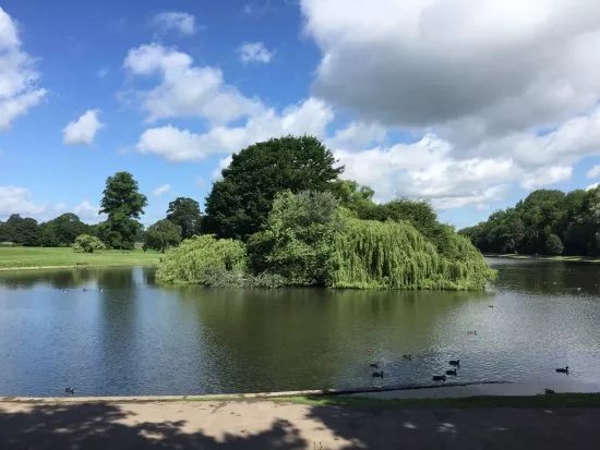Verulamium Park