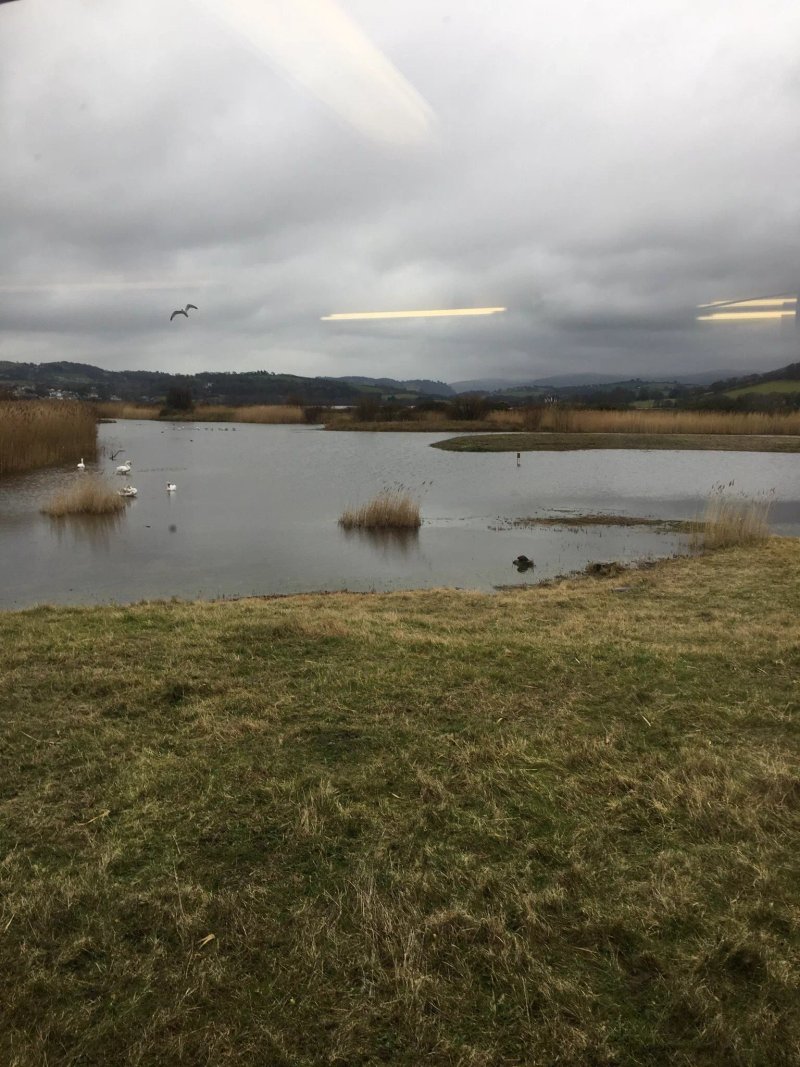 RSPB Waterside Coffee Shop