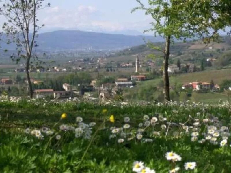 By: An hour from VENICE, in the park of the Colli Euganei - Tourist Locations