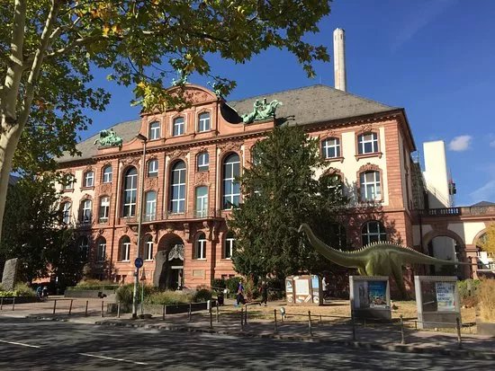 Senckenberg Natural History Museum (Naturmuseum Senckenberg)