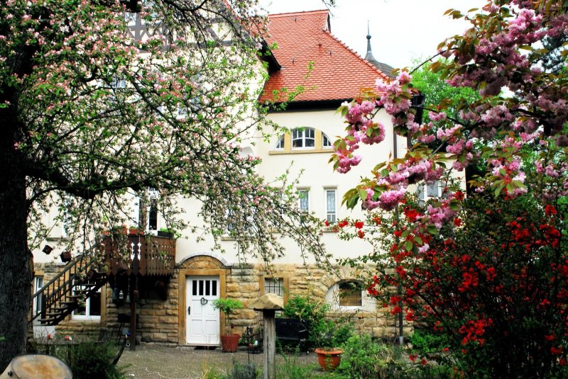 Pension Villa Ibolya