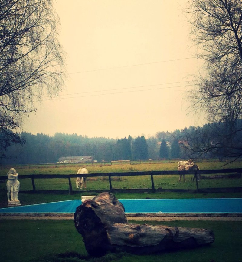 Landhotel Drauhof