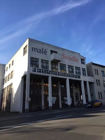 THE F. X. SALDA THEATRE