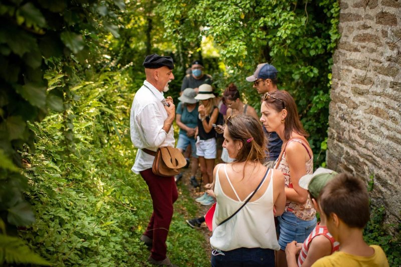 Sur le Chemin de l'Apothicaire