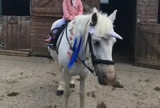 Brookover Farm Equestrian Centre
