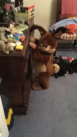 Atique & Urchins Bear Shop