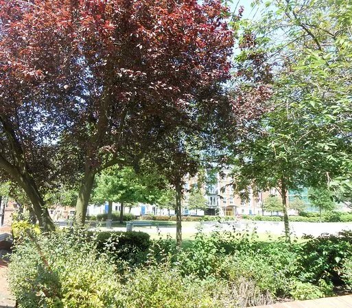 Queens Gardens