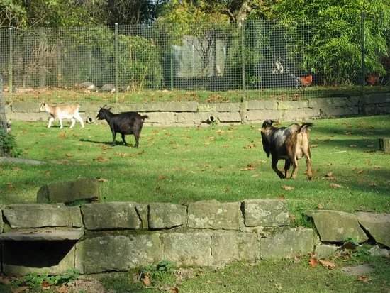 Fauna Park