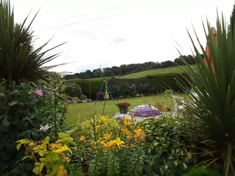 Rosville House Bed and Breakfast