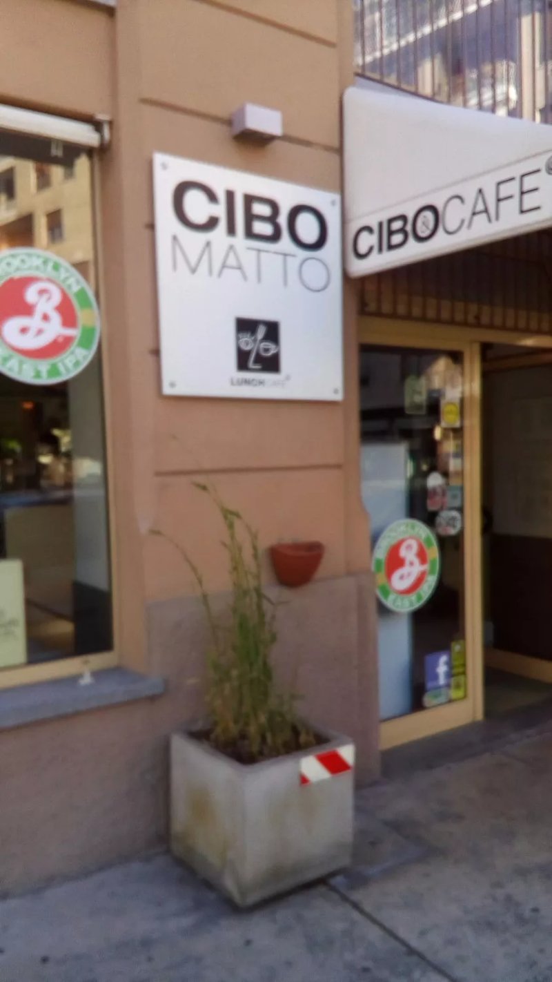 Cibo matto