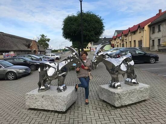 Koziolki w Kozach