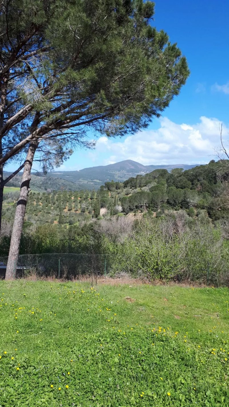 Le Serre