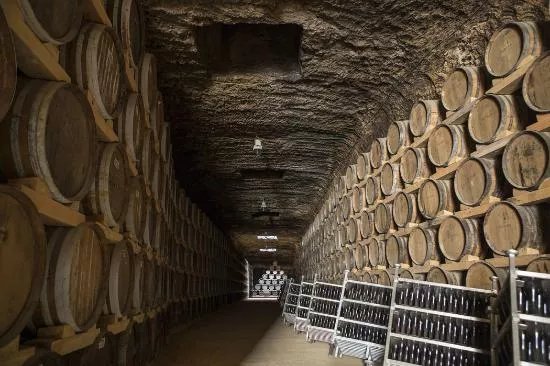 Bodegas y Vinedos Verum