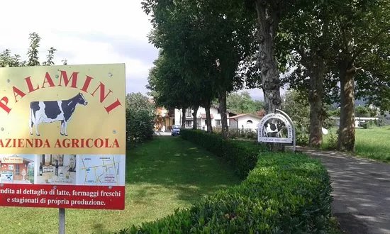 Azienda Agricola Palamini