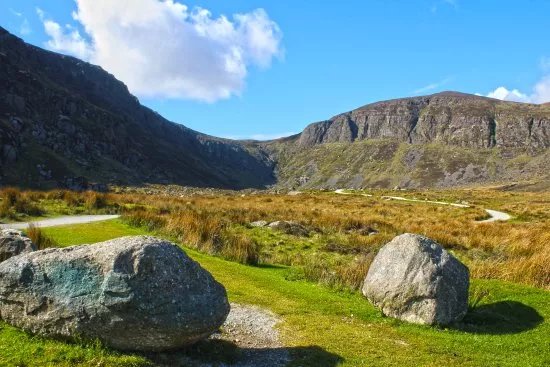 Comeragh Drive