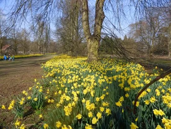 Nowton Park