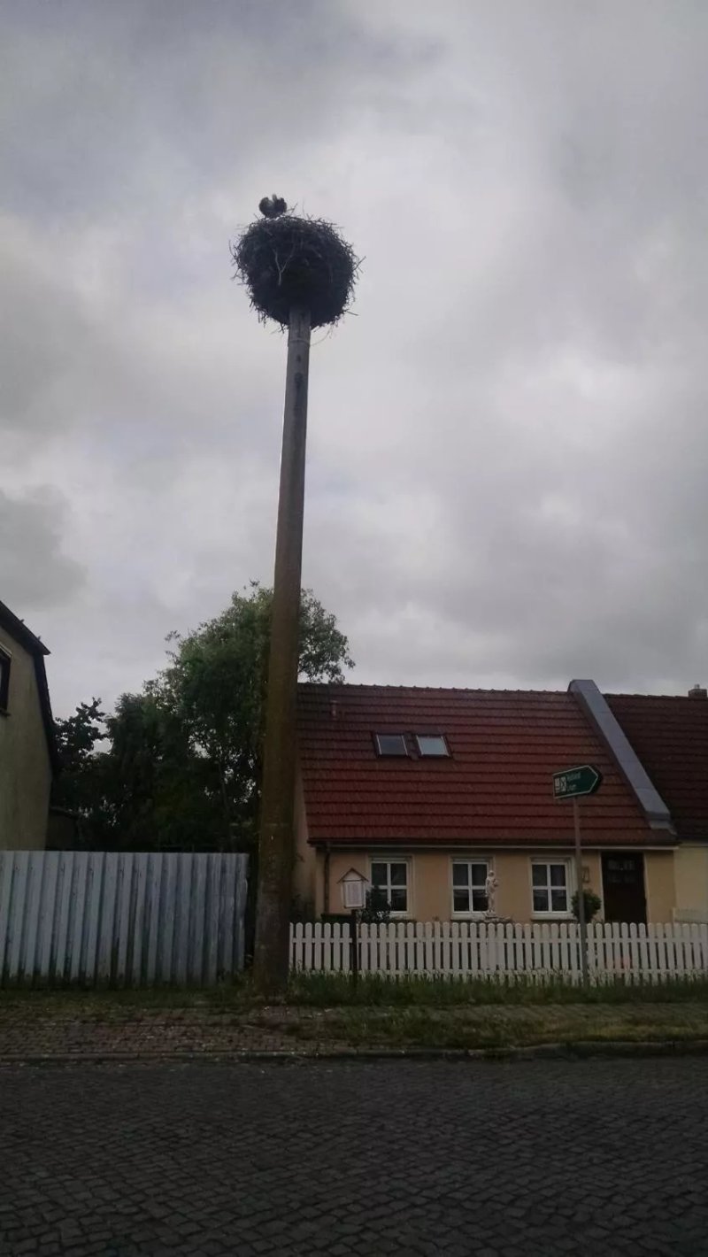 Landpension Adebar