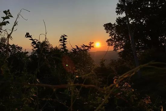 Rise&Shine Slovenia