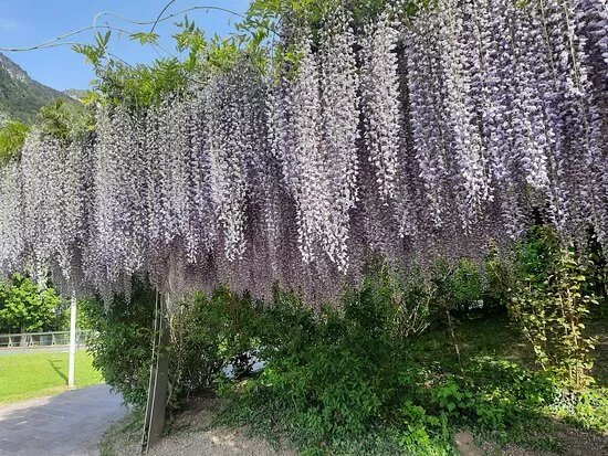 Parco di Melta