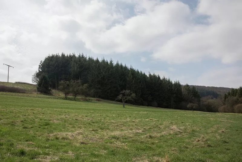 Lovely Mansion in Lirstal with Terrace